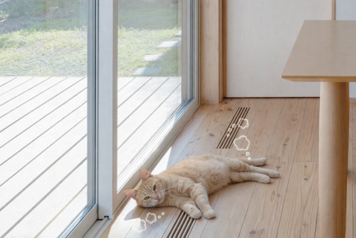 ガラリで暖かい猫